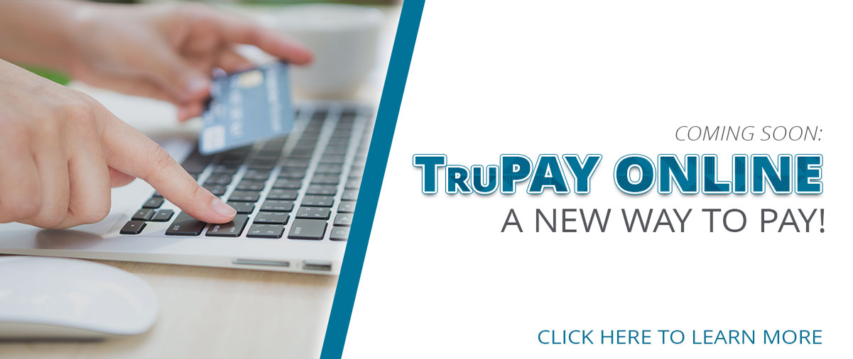 repay_online_webHomePage