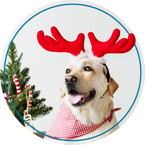 Holiday_Loan_Specircal