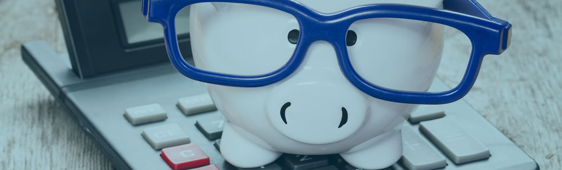  Piggy Bank With Glasses and Calculator